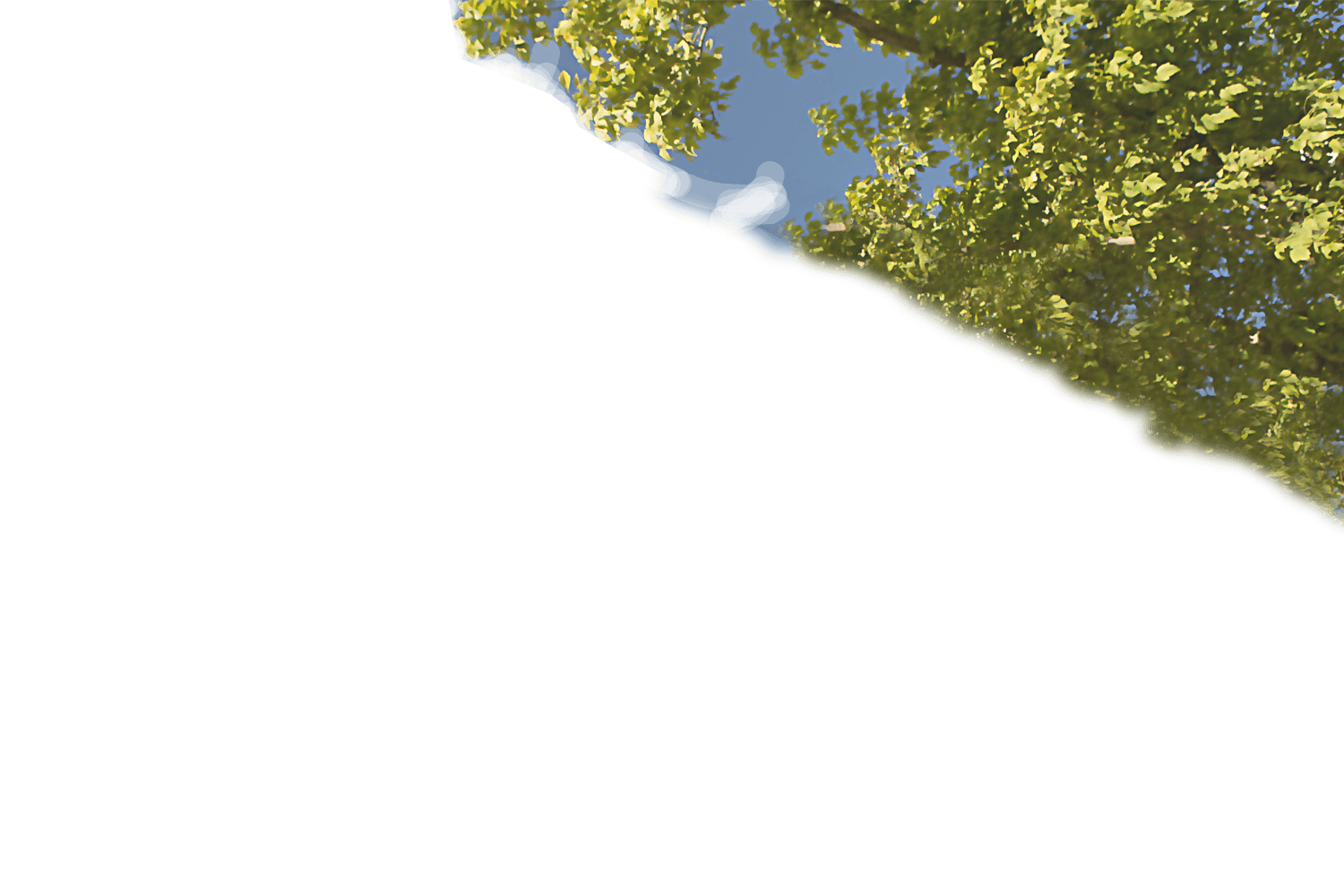 Home Background Layer 2